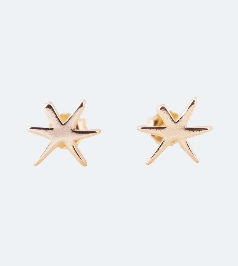 Golden Star earrings